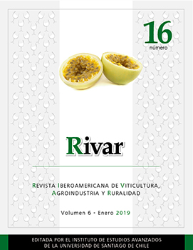 PORTADA16